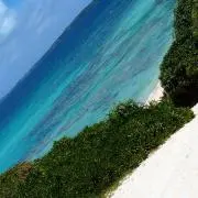 miiの画像