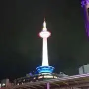 ヤング111