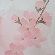 陽ちぃの画像