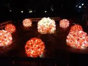 みむっちの画像
