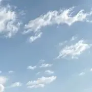 あぽろの画像