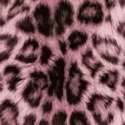 ᒼᑋªⁿ✿の画像