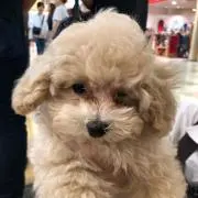 けーの画像