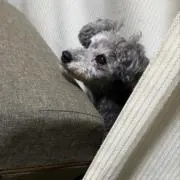 えいつの画像