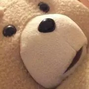 ybearの画像