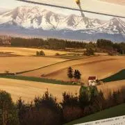 ALITE エーライト メイフライチェア アロハハイビスカス柄 収納袋付 美