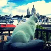 める