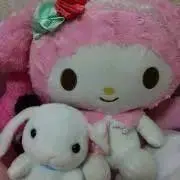 まいめろの画像
