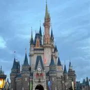 afmの画像