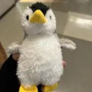 ぷりん