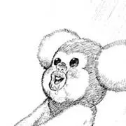 ぷーさんの画像