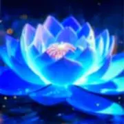 Sato4青lotus