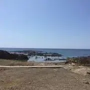 こがらっこ