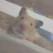 リリア☆プロフ確認してね(*´∀`)♪の画像