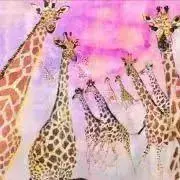 きりんの画像