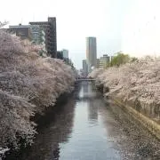 nikuの画像