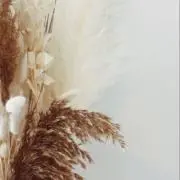 しろ。プロフ必読の画像