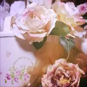 プリンの画像