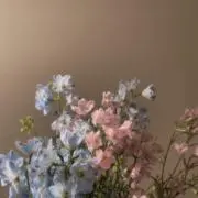 あーさんの画像