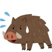 あーやんの画像