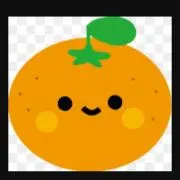 即購入OK✴︎おれんじママの画像