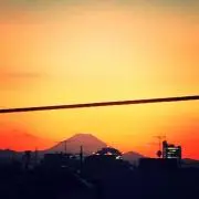 50@tの画像