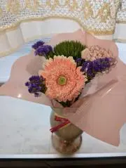 むぎの画像