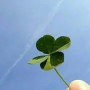 福 《プロフィール必読願います》