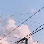 果の画像