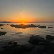33の画像