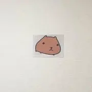 かぴの画像