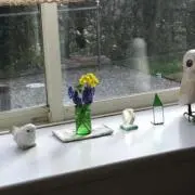 ちゃまの画像