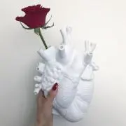 Wの画像