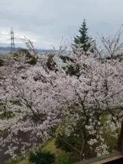 ゆじゅるじゅの画像