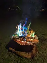 きいの画像
