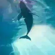 Kiki♡の画像