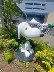 MIの画像