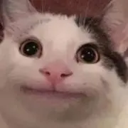 す