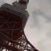 さっさんの画像