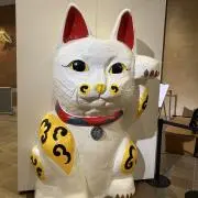 しん⭐︎断捨離中⭐︎の画像