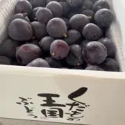 ぼんの画像