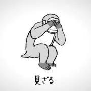 HAVOCの画像