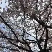 いー(整理整頓中☆。.:＊・゜)の画像