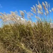 み☺︎の画像