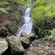 tantantanの画像