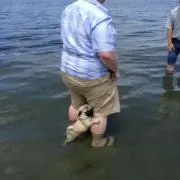 nnlの画像
