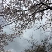 みーちゃんまま