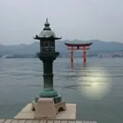 styの画像