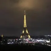 がしがしの画像