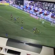 yamaの画像